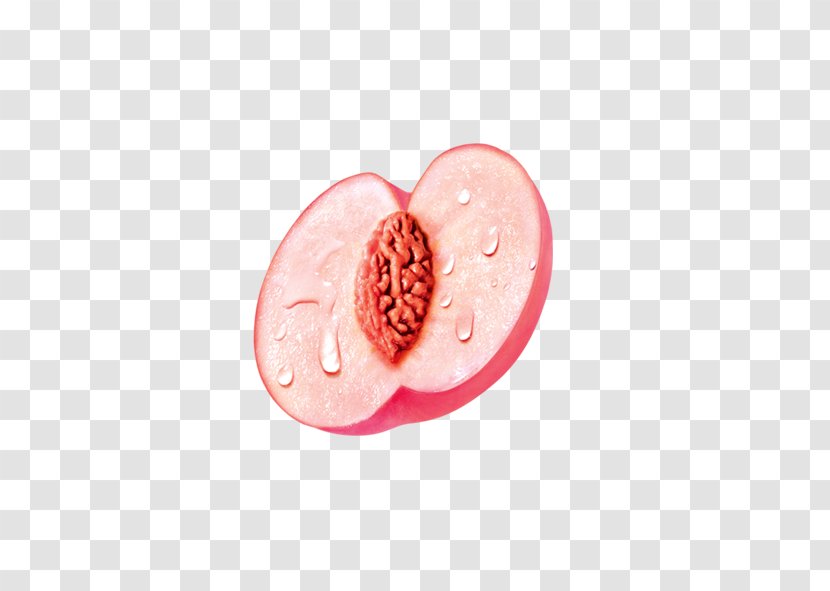 Peach Fruit Auglis - Gratis Transparent PNG