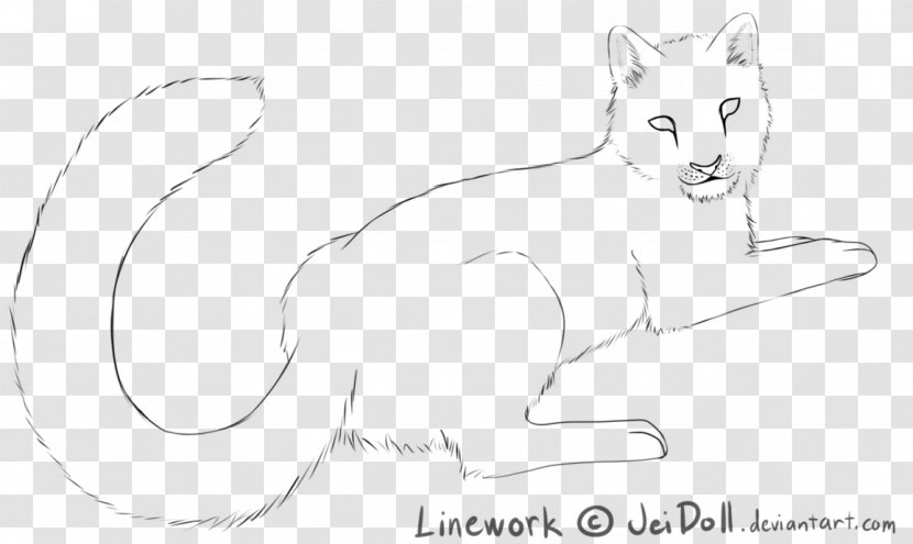 Whiskers Kitten Drawing Cat Leopard Transparent PNG