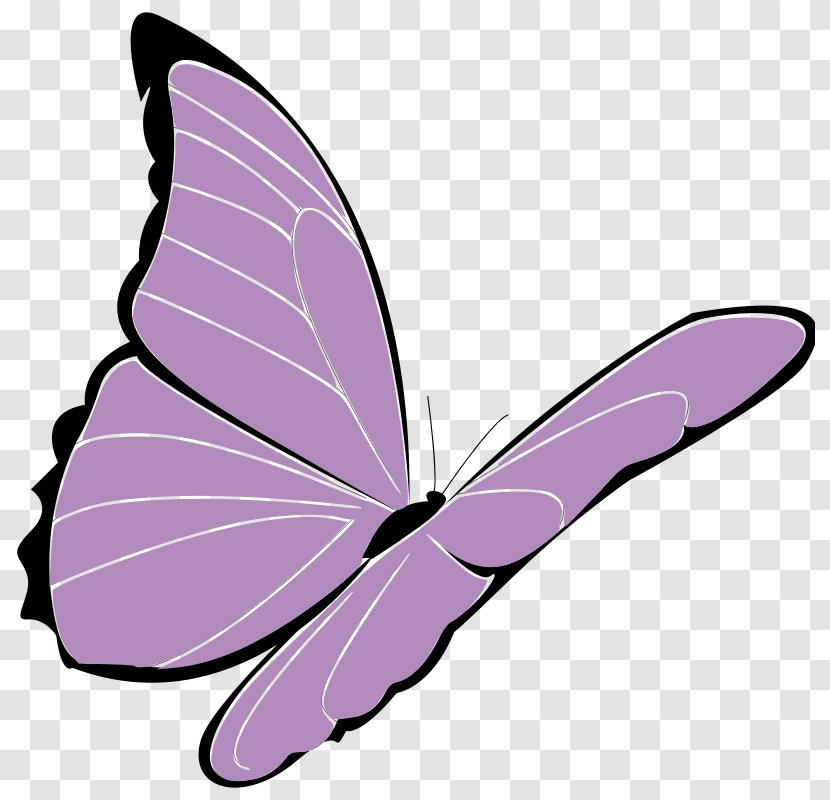 Clip Art - Monarch Butterfly - Pollinator Transparent PNG