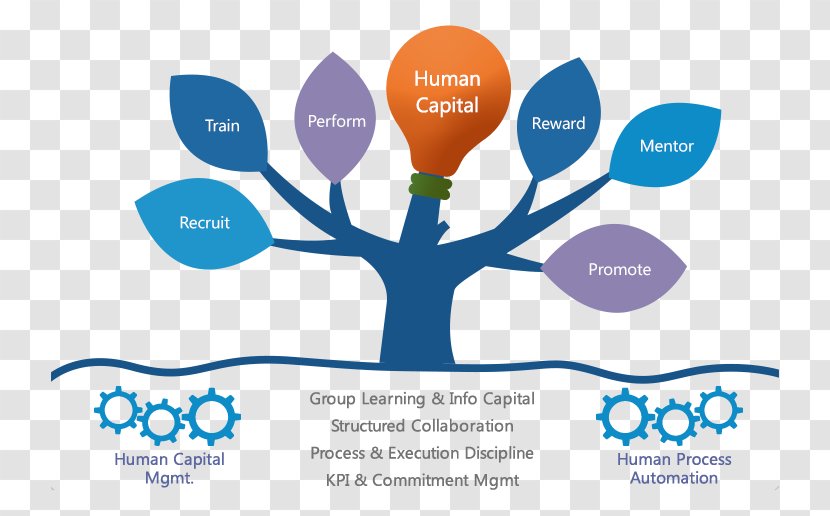 Organization Human Resource Management System Transparent PNG