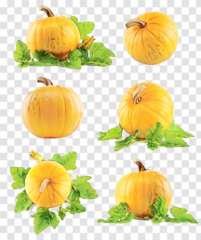 Pumpkin - Food - Vegetarian Cucurbita Transparent PNG