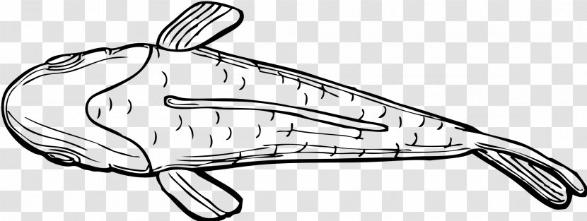 Siamese Fighting Fish Drawing Clip Art - Organism - Fishing Pole Transparent PNG