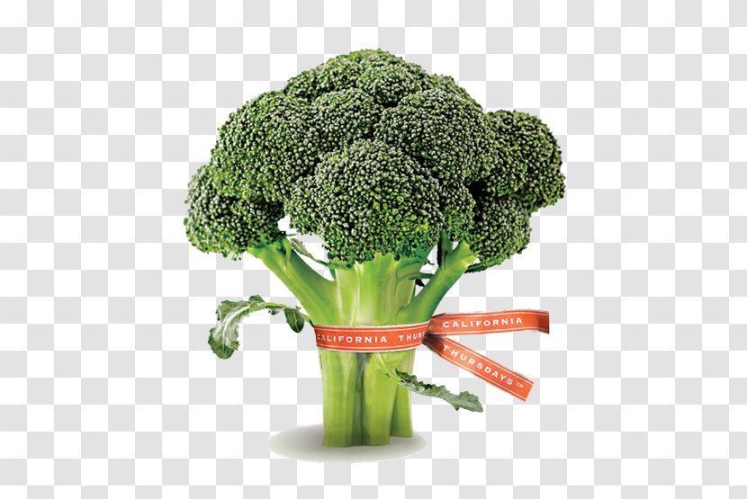 Broccoli Quality 0 Antioch Purchasing - 2016 Transparent PNG