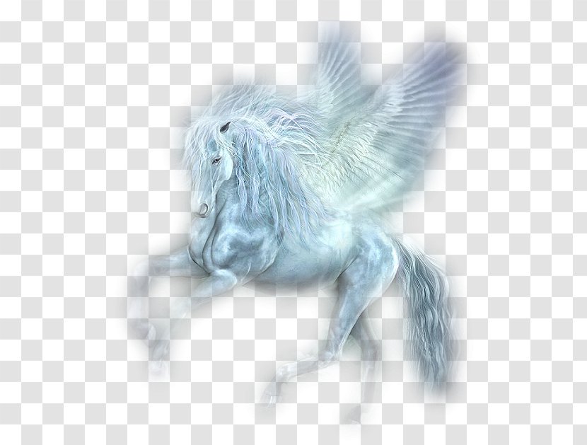 Unicorn Flying Horses Pegasus - Wildlife Transparent PNG