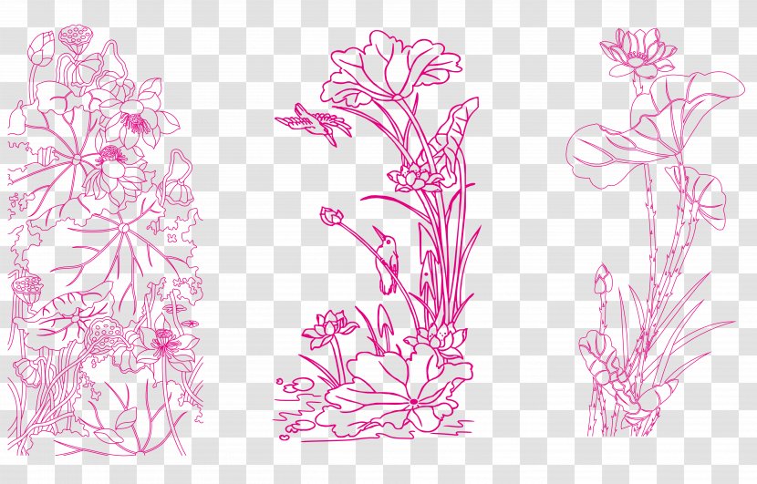 Drawing Chinese Painting - Floral Design - Vector Lines Lotus Transparent PNG