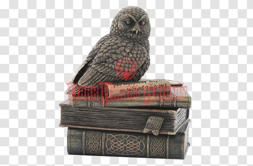 Snowy Owl Bronze Book Box Transparent PNG