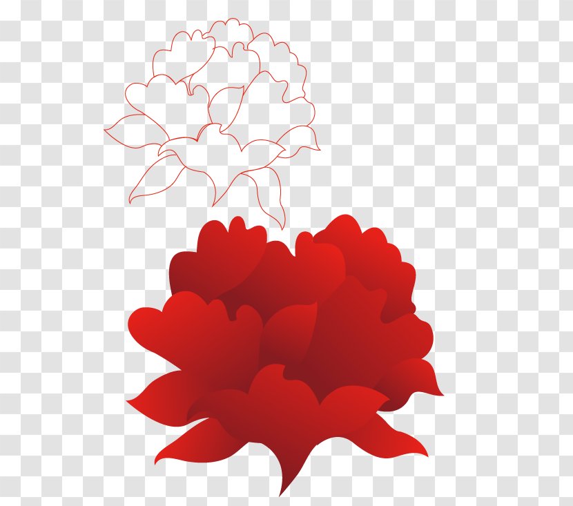 Red Drawing - Petal - Large Flowers And Line Artwork Transparent PNG