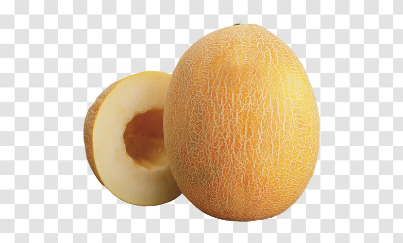 Honeydew Cantaloupe Galia Melon SGI SBC HEDGING TR SF - Fruit Transparent PNG