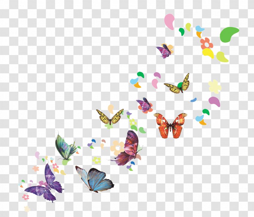 Download Spring Illustration - Point - Butterfly Transparent PNG