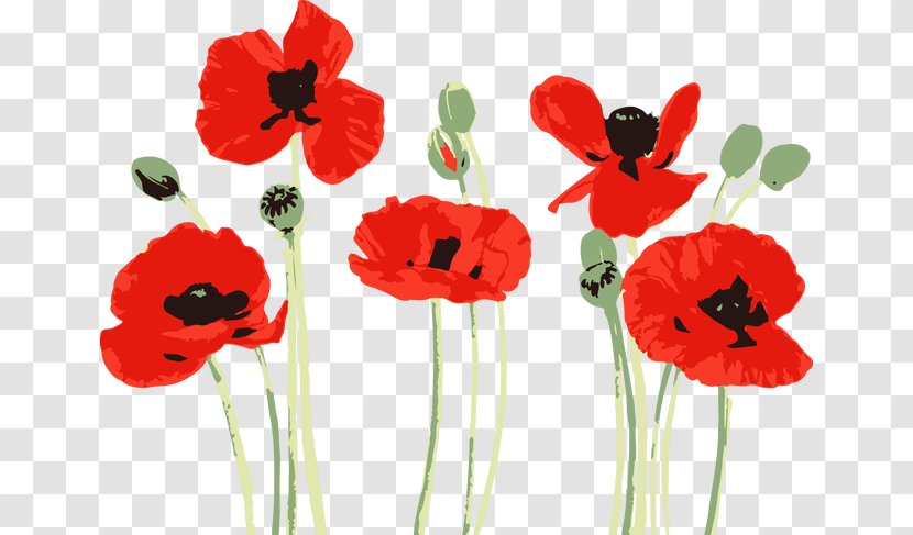 Watercolor Painting Poppy Drawing Bobbie Burgers - Artificial Flower Transparent PNG