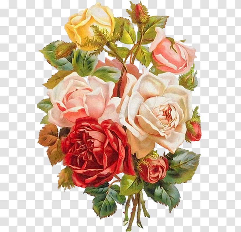 Victorian Era Flower Bouquet Edwardian Porte-bouquet Clip Art - Rose Family Transparent PNG