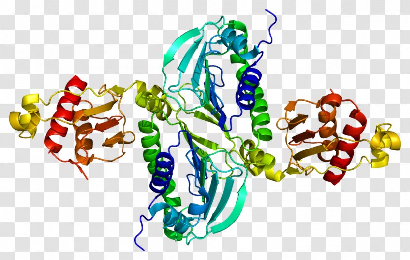 PMS2 MLH1 Protein DNA Mismatch Repair MSH2 - Organism - Dna Transparent PNG