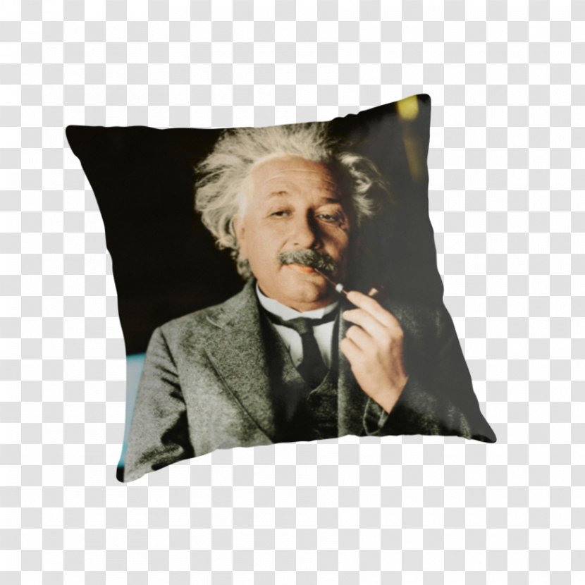 Albert Einstein If You Want To Live A Happy Life, Tie It Goal, Not People Or Things. Cushion Zebra Puzzle Throw Pillows Transparent PNG