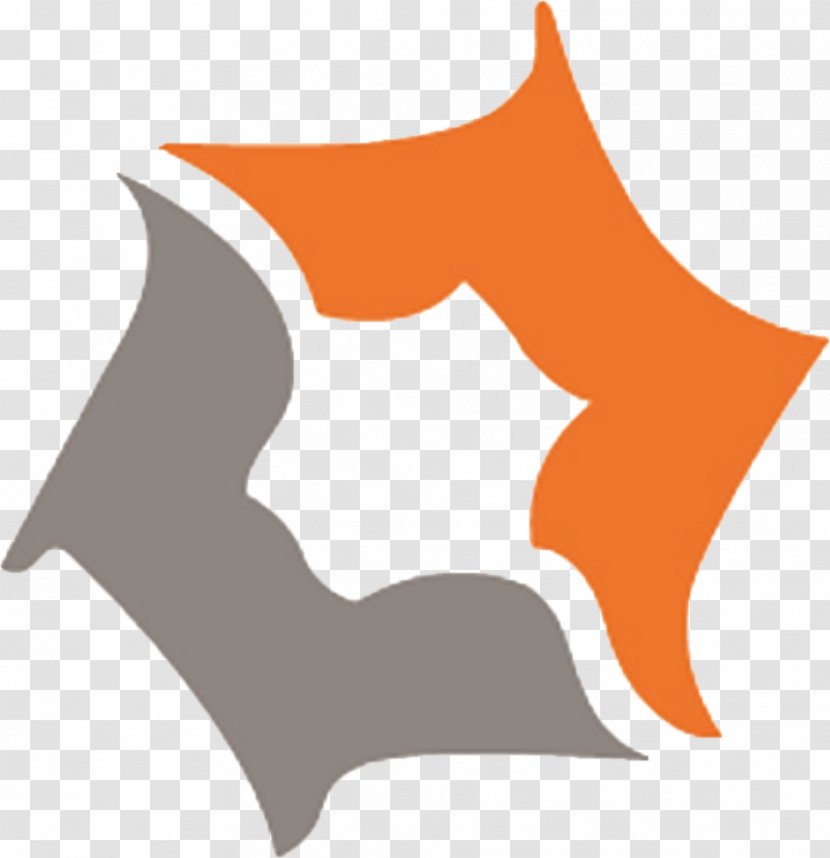 Clip Art Product Design Logo - Orange - Kelapa Transparent PNG