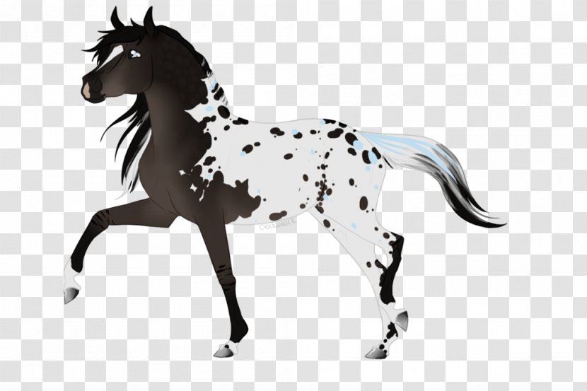 Mustang Stallion Foal Colt Pony Transparent PNG