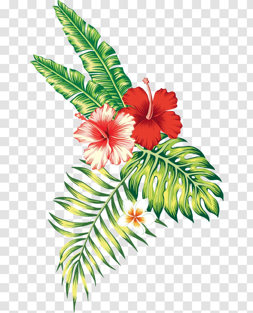 Tropics Tropical Climate Flower - Tree - Mix Flowers Transparent PNG