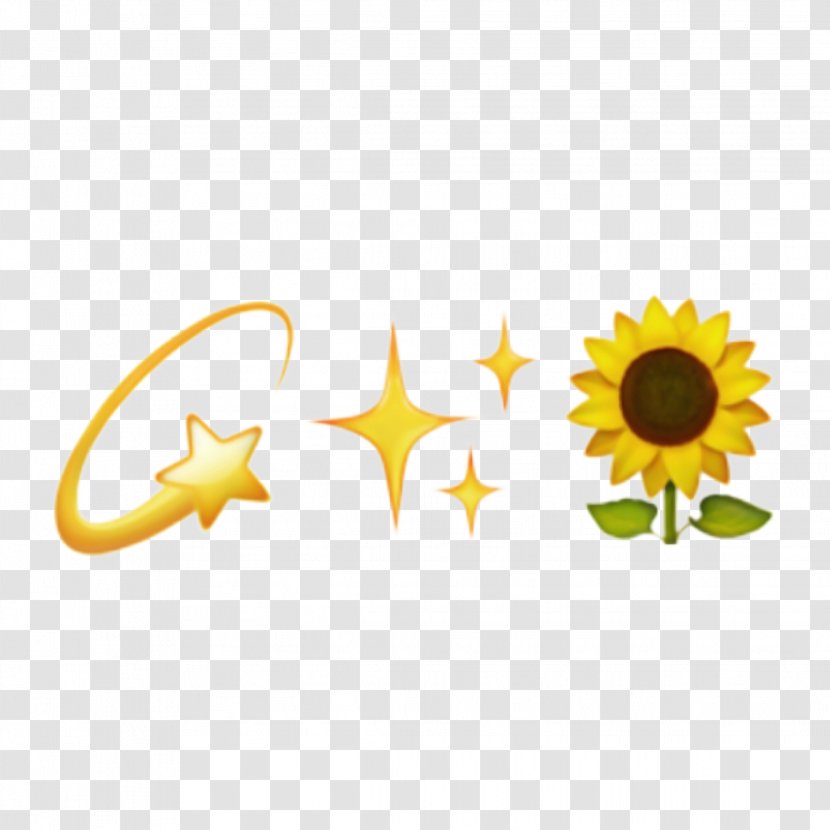 Sunflower Background - Logo - Smile Transparent PNG