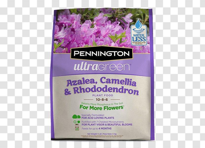 Lawn Weed Control Rhododendron Azalea Garden - Seed - Camellia Transparent PNG