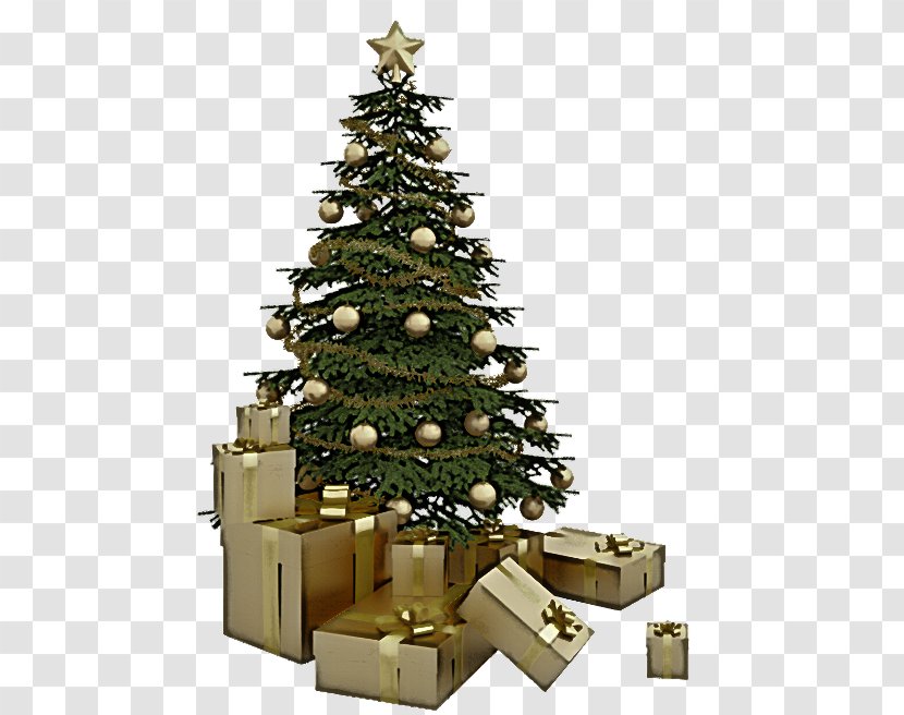 Christmas Tree - Pine Fir Transparent PNG