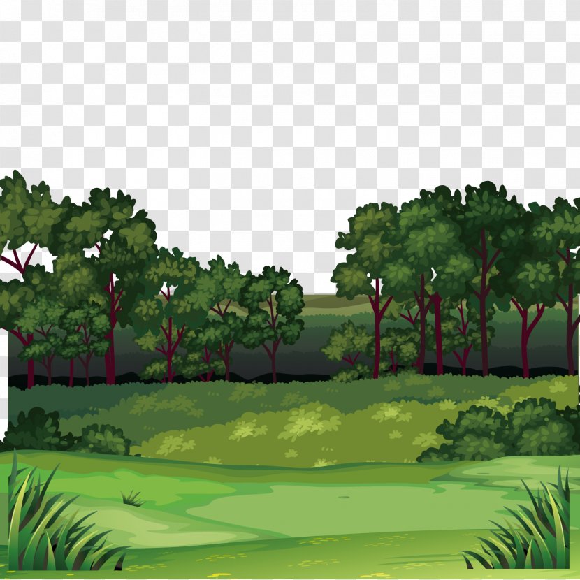 Forest Clip Art - Jungle - Scenery Transparent PNG