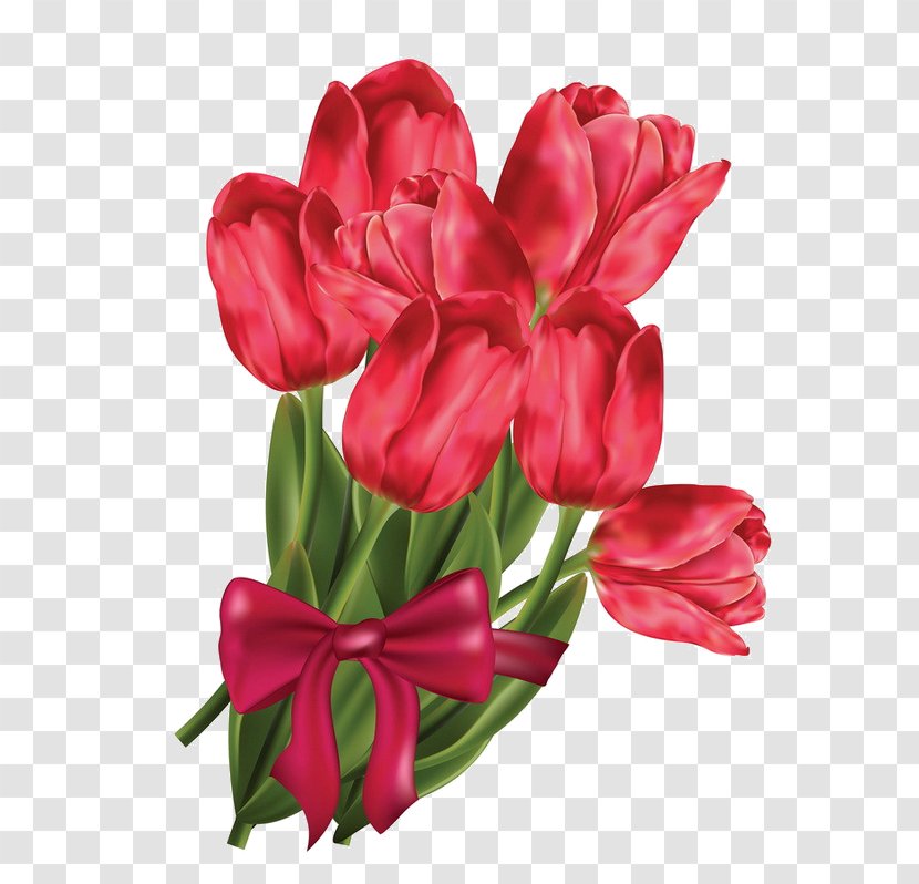 Flower Bouquet Stock Illustration Photography Vector Graphics - Campos De Tulipanes Rojos Transparent PNG