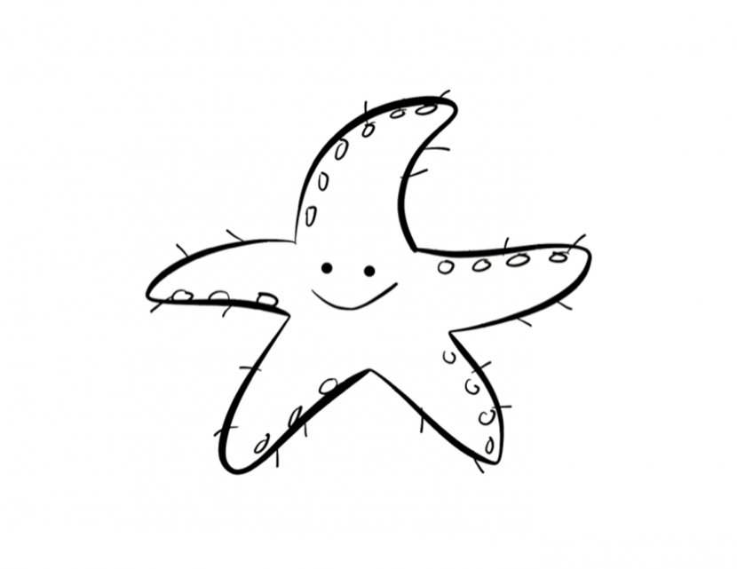 Starfish Drawing Coloring Book Child Clip Art - Watercolor - Cliparts Transparent PNG