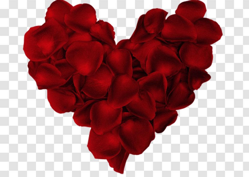 Valentine's Day Love Dwynwen Romance Dia Dos Namorados - Pink Family Transparent PNG