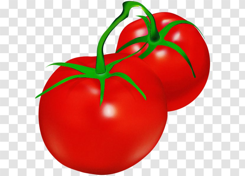 Tomato - Solanum - Local Food Transparent PNG
