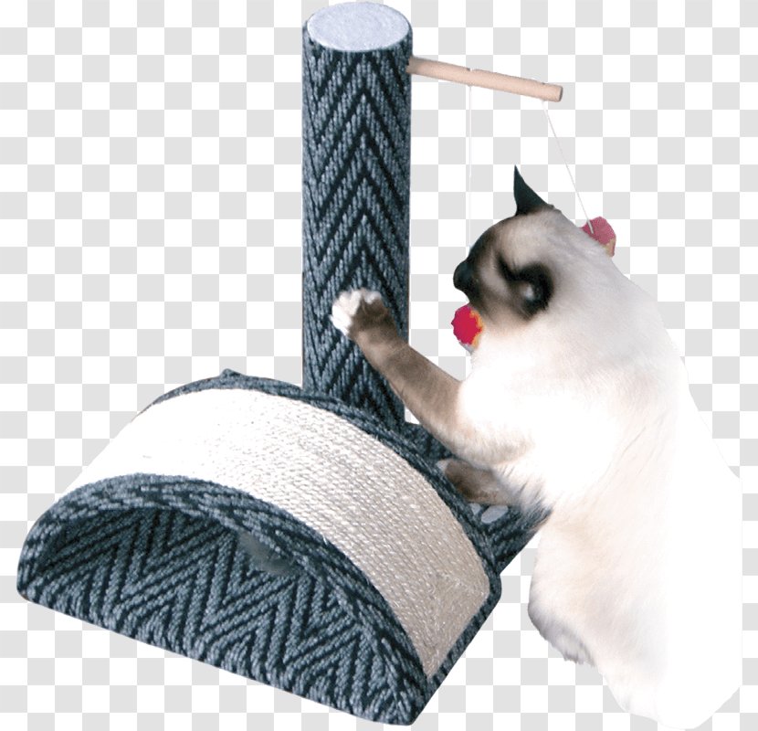 Whiskers Scratching Post Van Cat Tree Play And Toys - Felidae - Kitten Transparent PNG