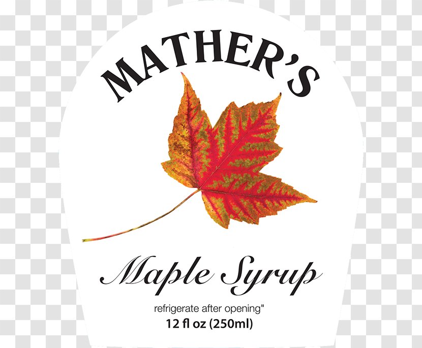 Maple Leaf Syrup Sugar Shack - Plant Transparent PNG