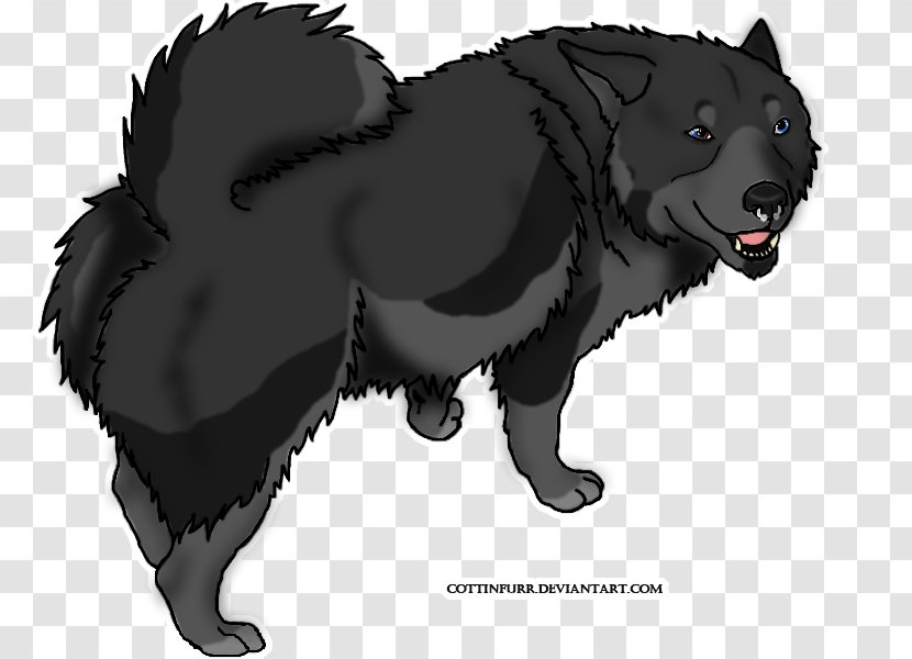Dog Breed Schipperke Werewolf Snout Transparent PNG