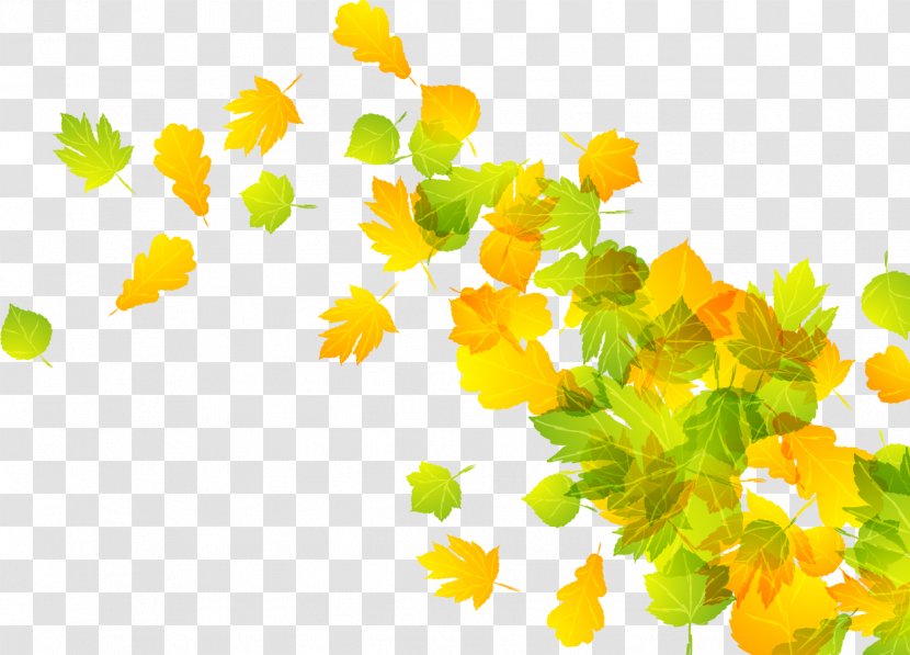 Vector 2 Leaf Autumn - Yellow - Falling Leaves Transparent PNG