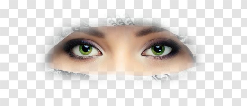 Iris Eyebrow Color Painting - Silhouette - Sore Eyes Transparent PNG