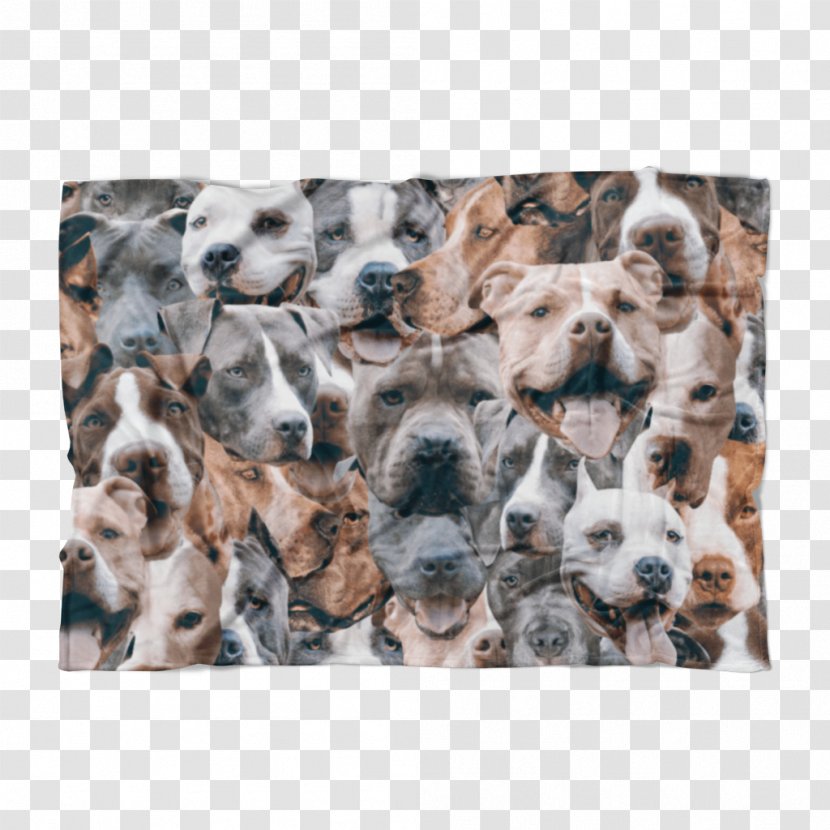 Dog Breed Puppy Canidae Snout - Pitbull Transparent PNG