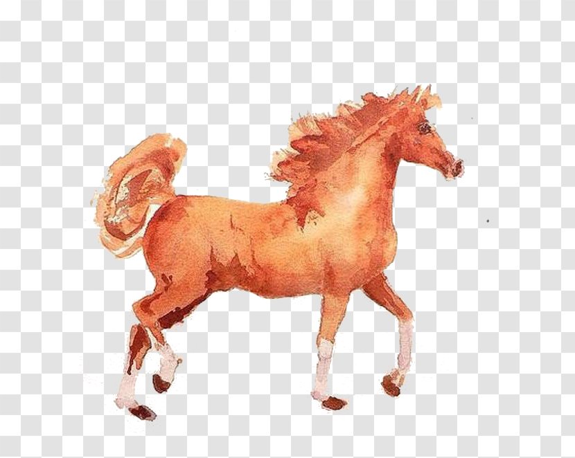 Mustang Pony Stallion Penguin Illustration - Watercolor Painting - Orange Watermarked Horses Transparent PNG