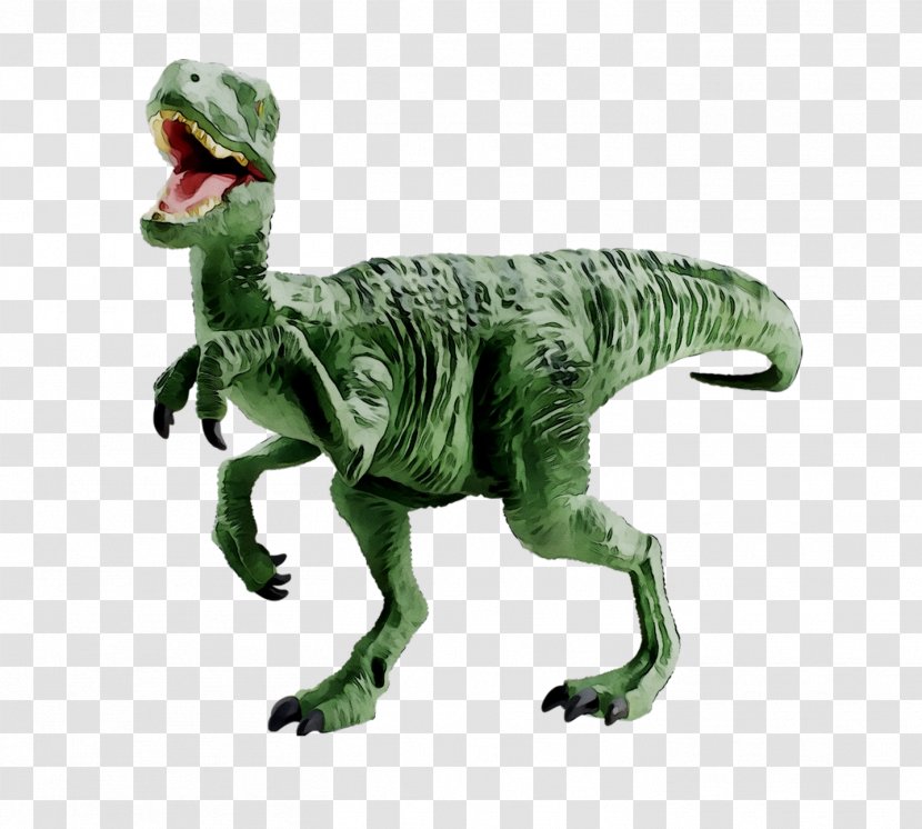 Velociraptor Tyrannosaurus Terrestrial Animal - Pachycephalosaurus Transparent PNG