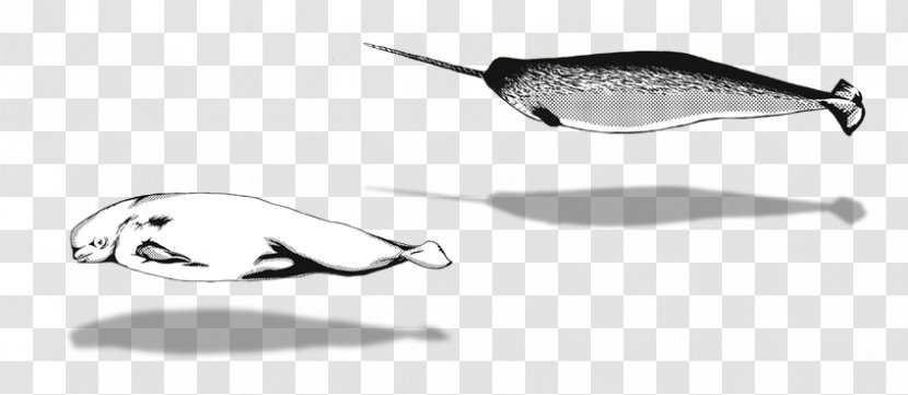 Spoon Lure Line Product Design Recreation - Fishing - Encounter Early Summer Transparent PNG
