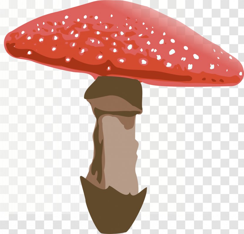 Amanita Muscaria Mushroom Fungus Clip Art - Cap - File Transparent PNG