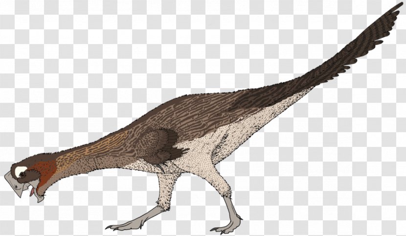 Oviraptor Velociraptor Tyrannosaurus Dinosaur Citipati - Organism - That Looks Like Ostrich Chick Transparent PNG