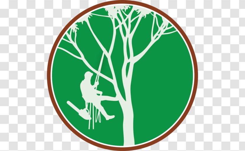 Certified Arborist Tree Climbing Arboriculture Transparent PNG
