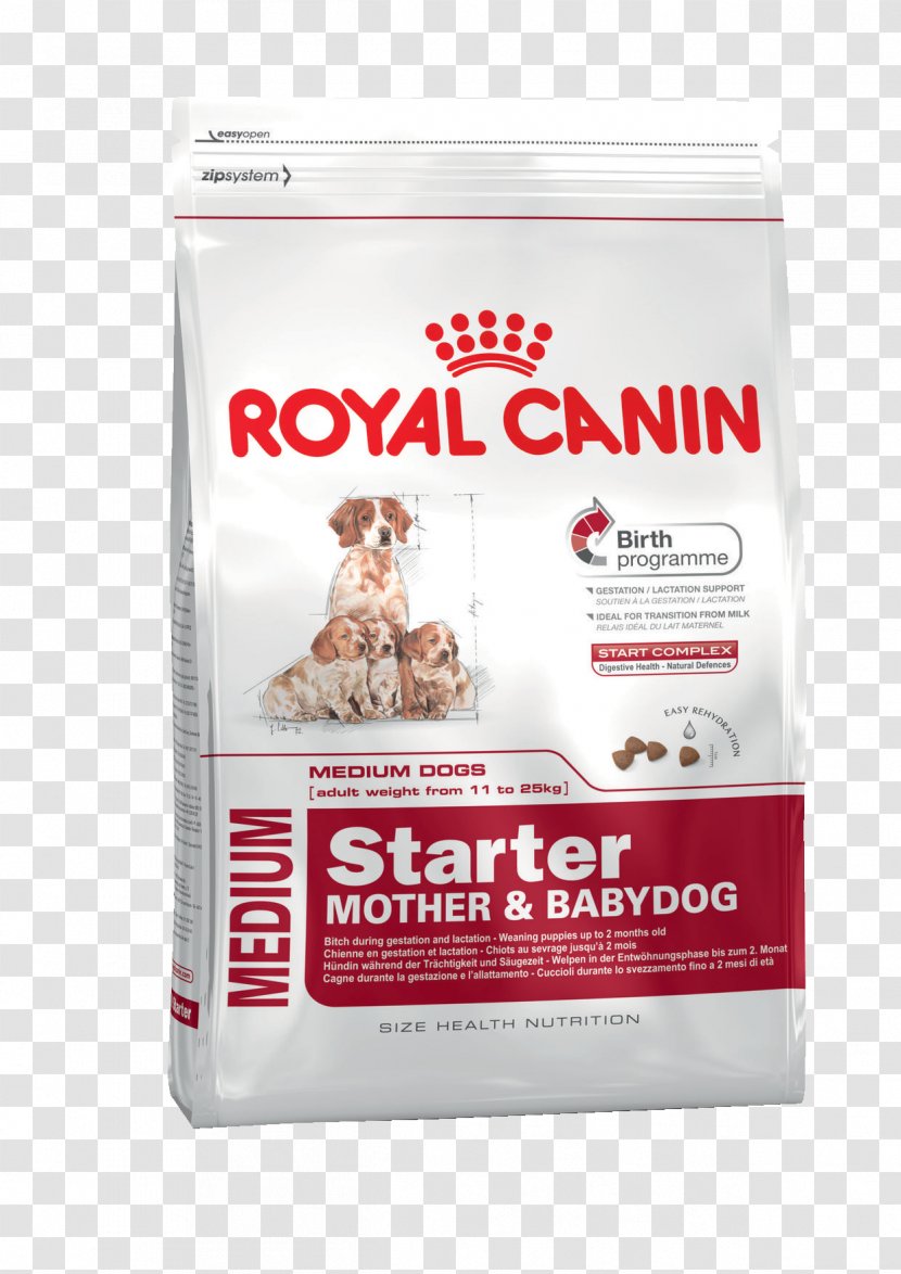 Puppy English Cocker Spaniel Pug Boxer Dog Food - Pet Transparent PNG