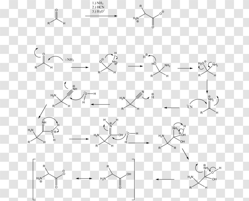 Drawing White Point Angle Strecker Amino Acid Synthesis - Symmetry Transparent PNG
