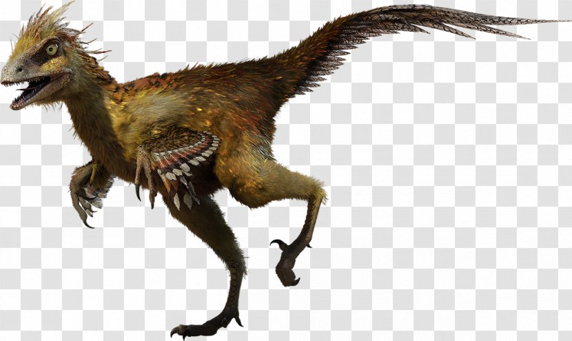 Hesperonychus Velociraptor Tyrannosaurus Bambiraptor Archaeopteryx - Alphadon - Dino Transparent PNG