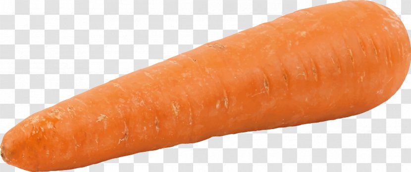 Carrot Vegetable Parsnip Clip Art Transparent PNG