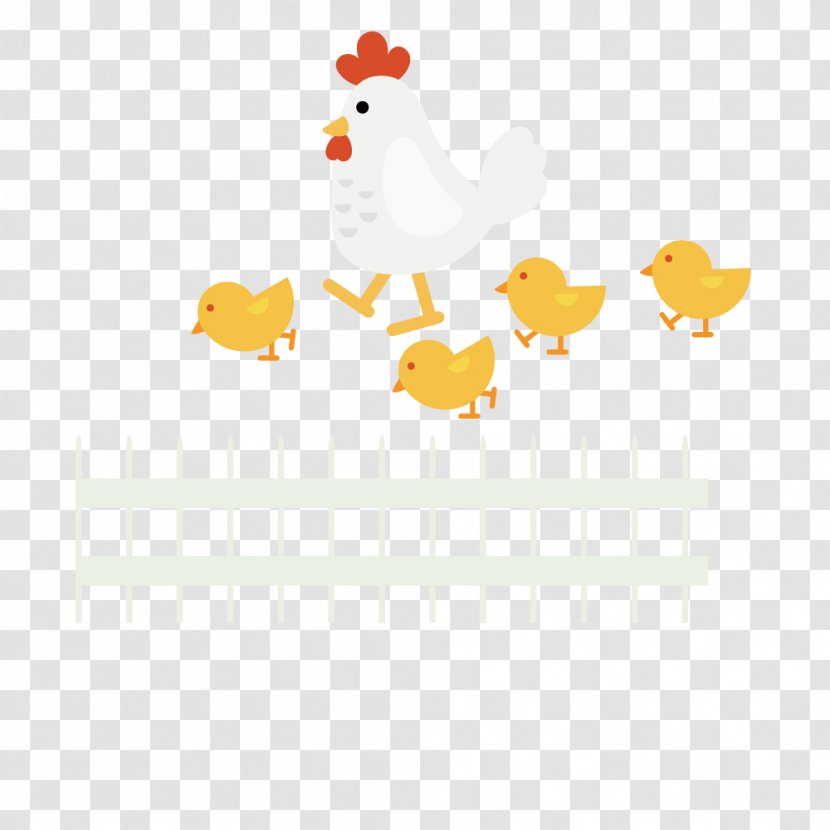 Chicken Yellow White Illustration - Rooster Chick Transparent PNG