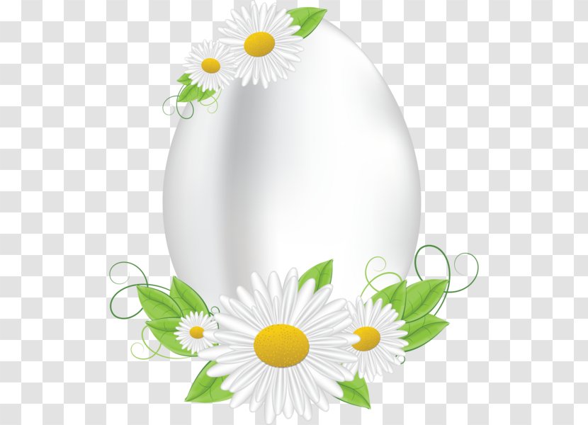 Common Daisy Flower Easter Egg Clip Art - Depositfiles Transparent PNG