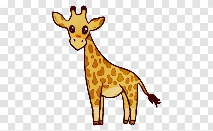 Giraffe Giraffidae Terrestrial Animal Wildlife Yellow - Deer - Snout Transparent PNG