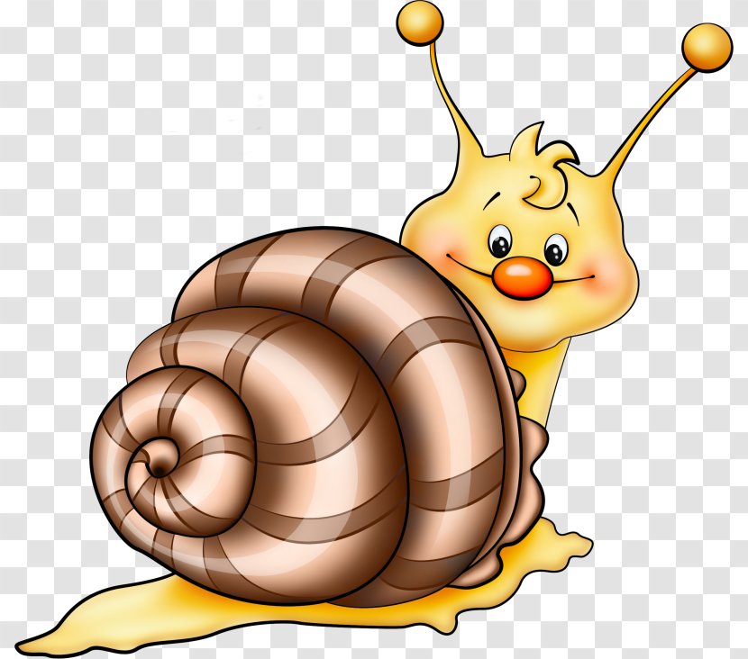 Drawing Caracol Clip Art - Blog - Snail Transparent PNG