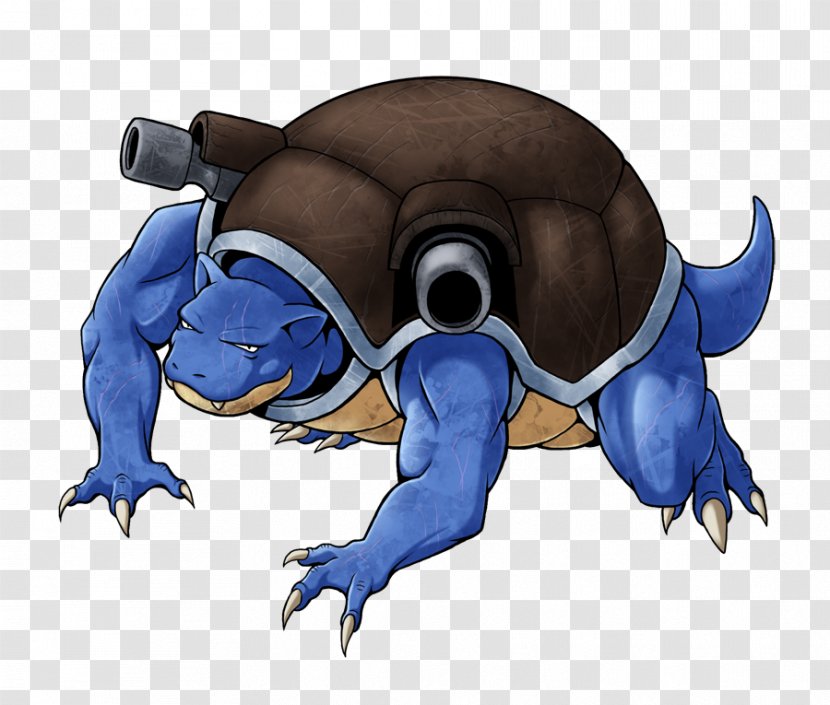 Blastoise Charizard Squirtle Pokémon Mewtwo - Organism - Pokemon Transparent PNG