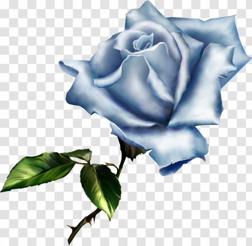 Rose Flower Clip Art - Blue - Lilac Transparent PNG